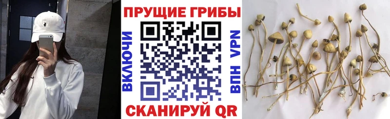 OMG сайт  Чекалин  Псилоцибиновые грибы мухоморы 